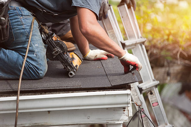Roof Gutter Cleaning in Lumberton, TX